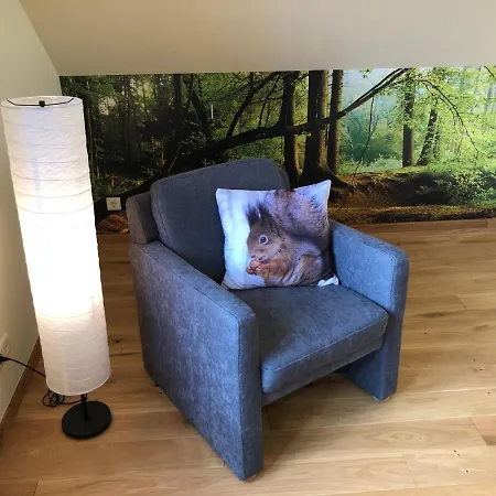 Waldhaus-vulkaneifel Apartment Kelberg