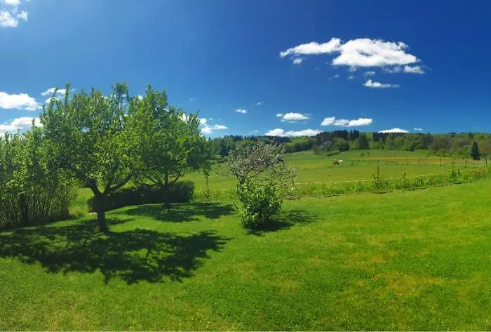 Waldhaus-vulkaneifel